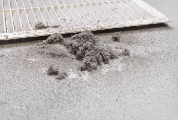 Best Duct Cleaning for Offices  in Great Neck Plaza, NY