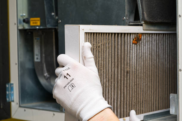 Best Affordable Duct Cleaning Services  in Great Neck Plaza, NY