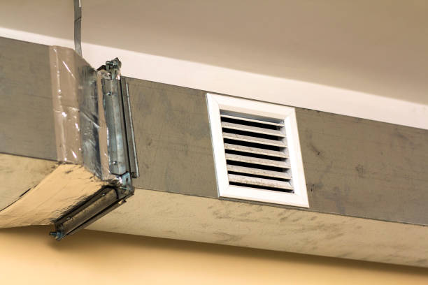 Best Air Duct Inspection  in Great Neck Plaza, NY
